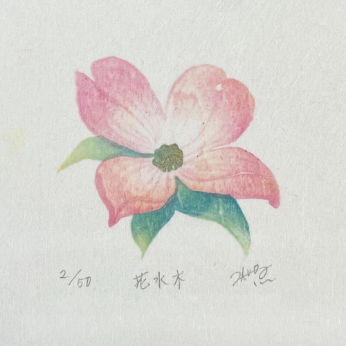 花と木の実の版画　額縁付き 四季を彩る花版画 ハナミズキ 額付き ホワイト額 版画 かさね