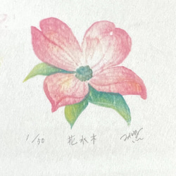 四季を彩る花版画　ハナミズキ　木瓜　藤　3点セット　額あり 3枚目の画像