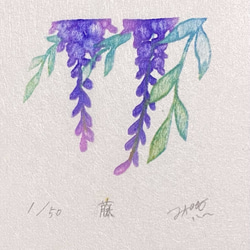 四季を彩る花版画　ハナミズキ　木瓜　藤　3点セット　額あり 5枚目の画像