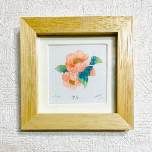 四季を彩る花版画 ハナミズキ 木瓜 藤 3点セット 額あり その他