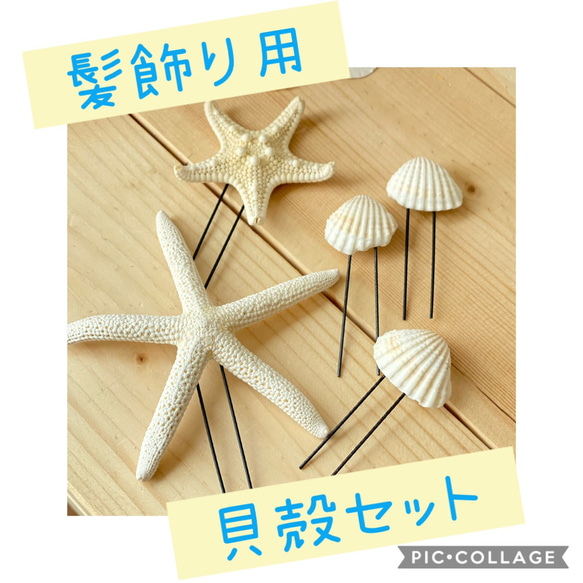 ヘッドアクセサリー☆貝殻セット 1枚目の画像