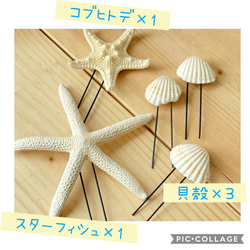 ヘッドアクセサリー☆貝殻セット 3枚目の画像