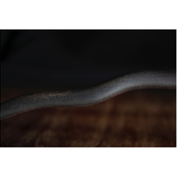 サクランボのかんざし 黒檀　天然石レッドアゲート　木製　簪　和装髪飾り　 5枚目の画像