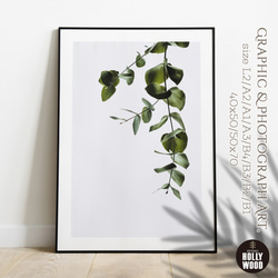 -eucalyptus leaf- ユーカリ⋆ボタニカル インテリアポスター【162】 1枚目の画像