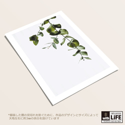-eucalyptus leaf- ユーカリ⋆ボタニカル インテリアポスター【162】 5枚目の画像