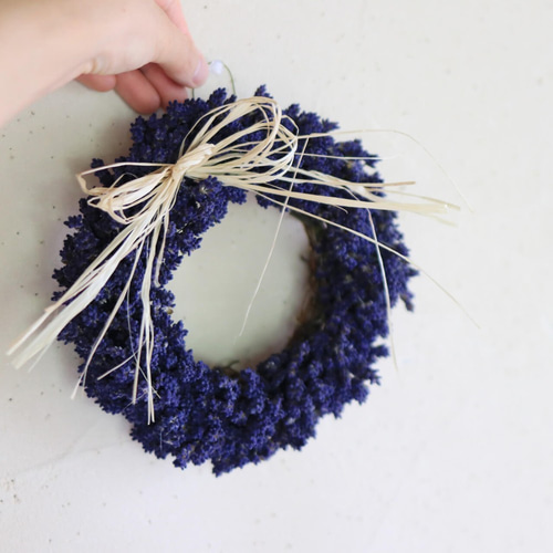 富良野ラベンダーリースS/ドライフラワー ナチュラル かわいい ドライ