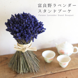 風鈴オダマキ 桃かさね オダマキ苗1株 アートフラワー 芍薬堂