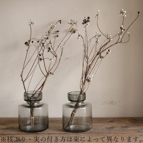 ナンキンハゼ。今年早採り。25本。ナンキンハゼの実。ドライフラワー。スワッグ。 ナンキンハゼ。可愛ぃナンキンハゼ。自家栽培。ドライフラワー