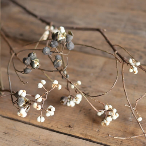 ドライフラワー 大枝 ロング】 ナンキンハゼの木 / ナチュラル