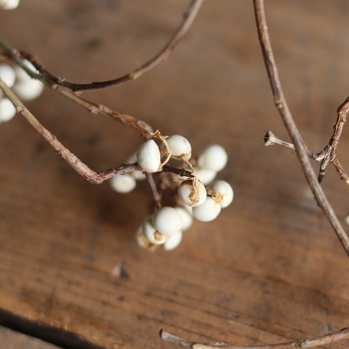 ドライフラワー 大枝 ロング】 ナンキンハゼの木 / ナチュラル