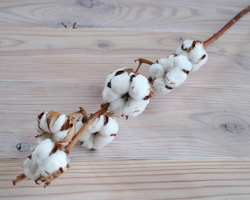 0_60a9965ad8265eb41eaf6f1dce95