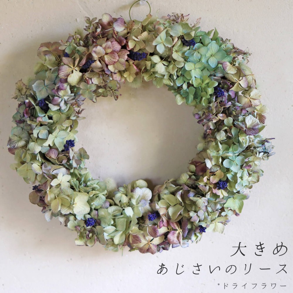 【ドライフラワー】大きめあじさいのリース / お祝い 誕生日 お礼 ナチュラル インテリア 北欧 ボタニカル おしゃれ