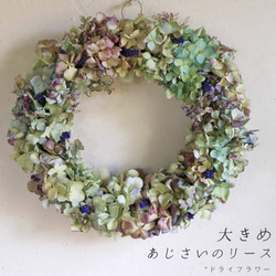 淡色 ナチュラル ドライフラワーリース M 23cm ＊ 針葉樹 ユーカリ