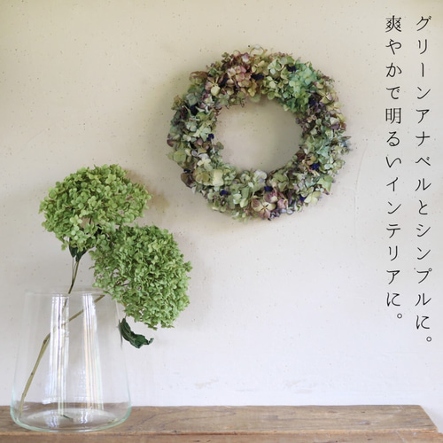 グリーンと紫陽花のドライフラワーリース ナチュラル ボタニカル