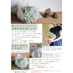 ラグラスのブーケ ◆ 北欧シンプルインテリアやプレゼントに♪ふわふわかわいいナチュラルグリーンのドライフラワーブーケ 7枚目の画像