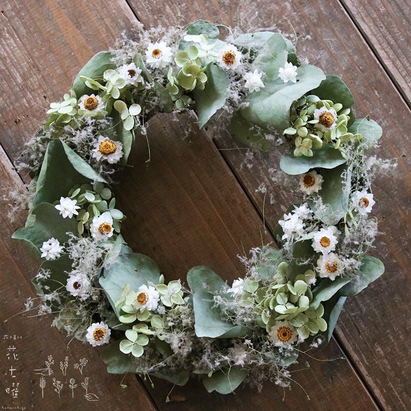 ユーカリとアンモビュームのグリーンリース◆ナチュラルグリーンと白の春色ドライフラワーリース＊インテリアやプレゼントに♪