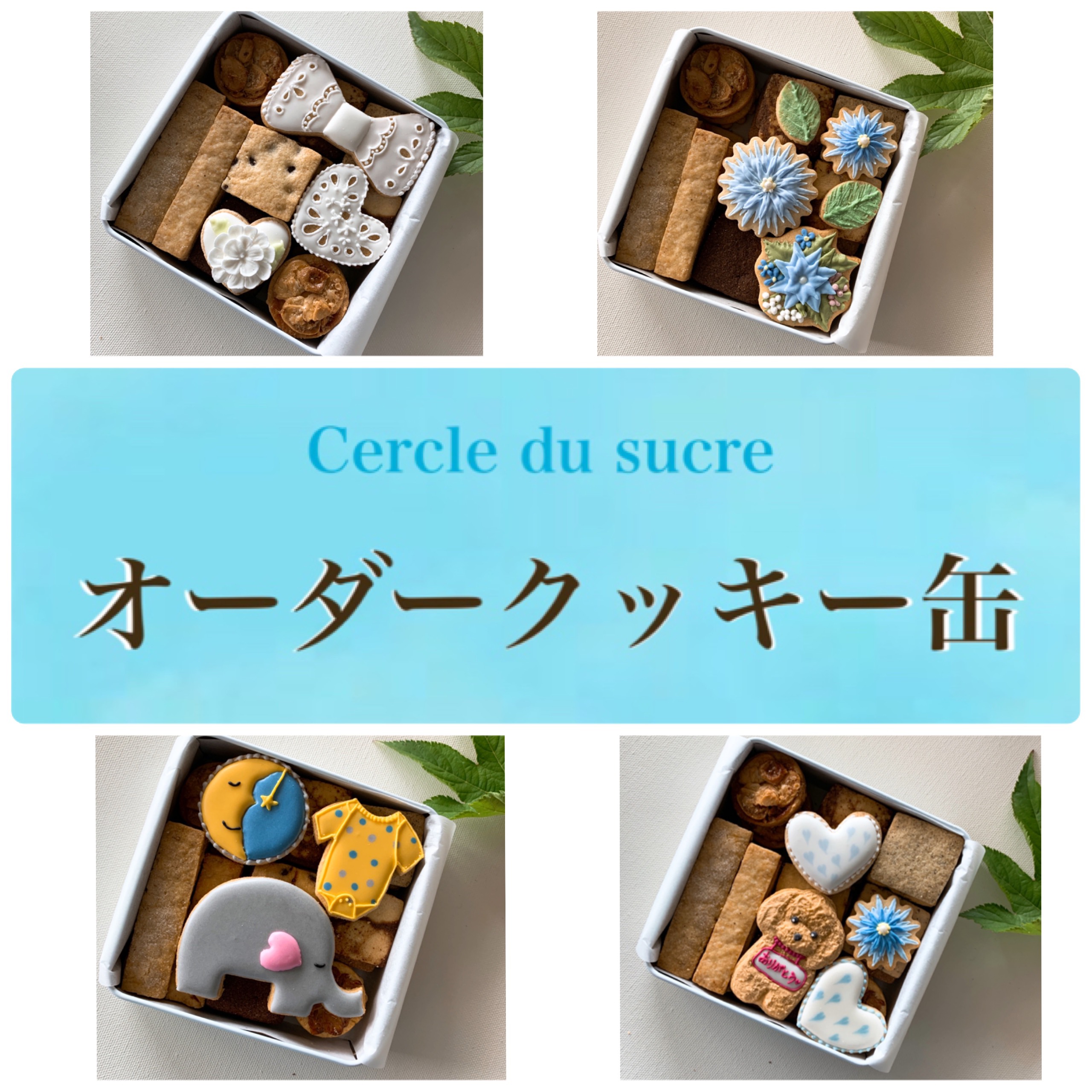 c4a9100a22e20c0371148b1710dc6b