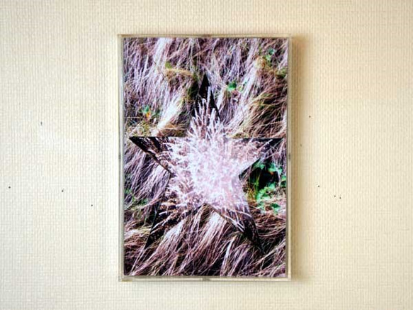 コラージュ　「エトアル・ヴォワイヤジャーズ」　022  直島の枯れ草 1枚目の画像