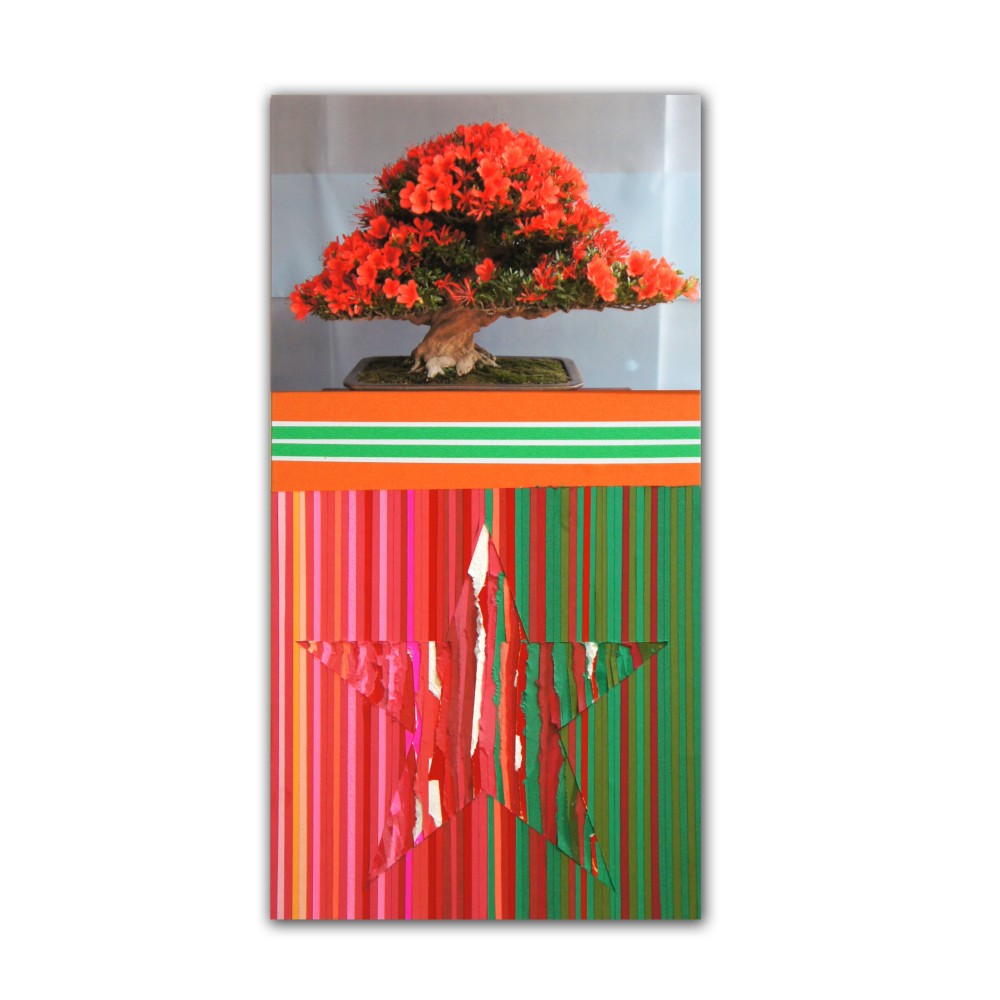 Satsuki Azalea no.2 88,000円