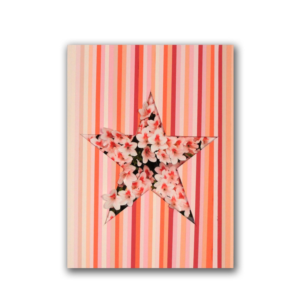 Satsuki Azalea no.13