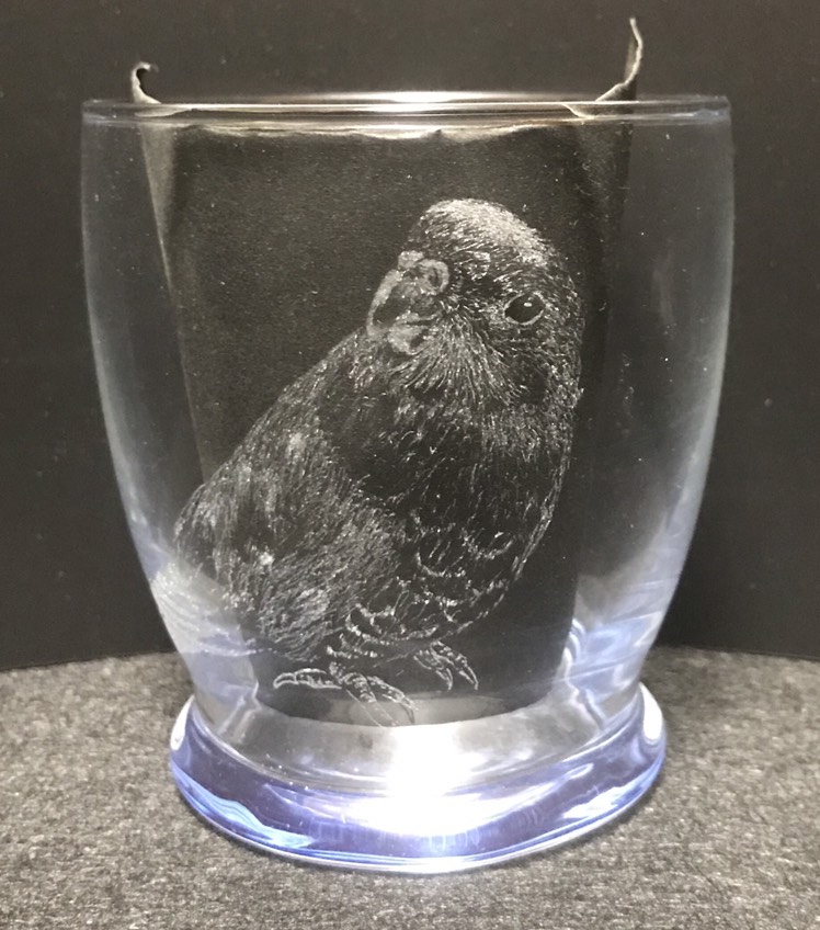 秋と鳥  キキョウインコに桔梗の花        Ω