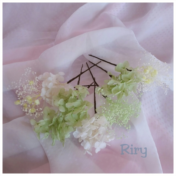 緑白♡プリザーブドフラワー紫陽花、かすみ草、オーバータイム♡8本ピックセット 3枚目の画像
