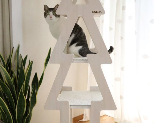 専用ページ　フラワーキャット 楽天市場】フラワーキャット（日用品雑貨・文房具・手芸）の通販
