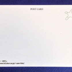 ポストカード４枚セット㊺「しぼりきんちゃくふぐ」 2枚目の画像