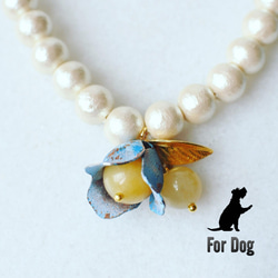 【Limited】Dog necklace “Sky” Vintage パールネックレス(小型犬用) 1枚目の画像