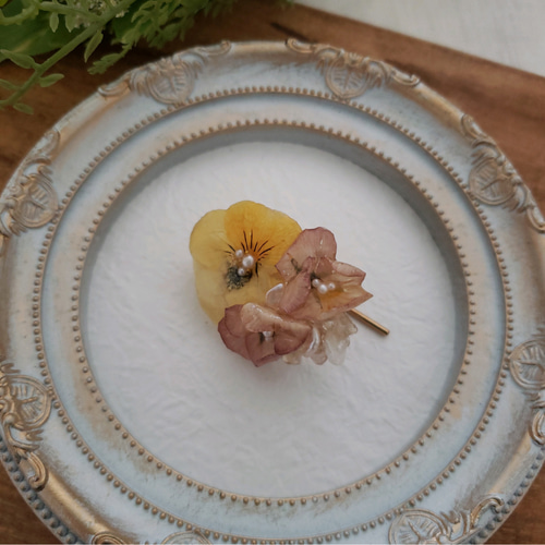 ビオラ 本物のお花 エディブルフラワー ポニーフック ポニーフック