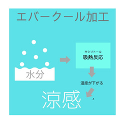 春夏マスク　クラシカルローズ ブルー　涼感ダブルガーゼ変更可 4枚目の画像