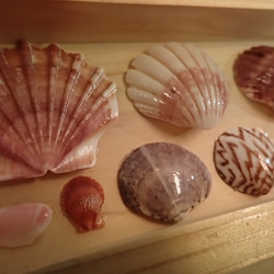 0_b8e5a1ab63ee4f71179968db6285