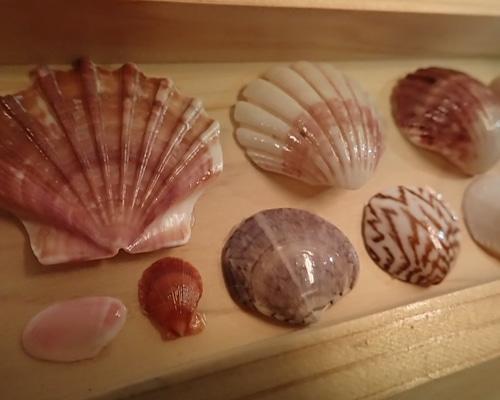 0_b8e5a1ab63ee4f71179968db6285