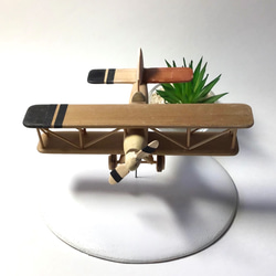 mini AIRPLANE 3枚目の画像