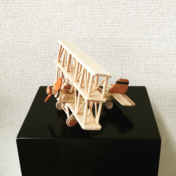 THREE WINGS AIRPLANE 1枚目の画像
