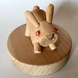 miniRABBIT 1枚目の画像