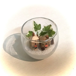 HOUSE in GLASS 4枚目の画像