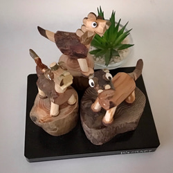 miniDINOSAUR 2枚目の画像