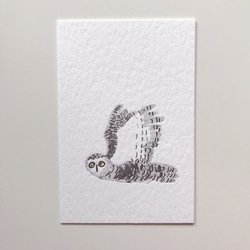 フクロウ活版ポストカードイラスト活版ユニバーサルカード 3枚目の画像