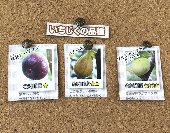 【母の日ギフト】いちじく農園の手作り無添加いちじくジャム3品種食べ比べセット！ 4枚目の画像