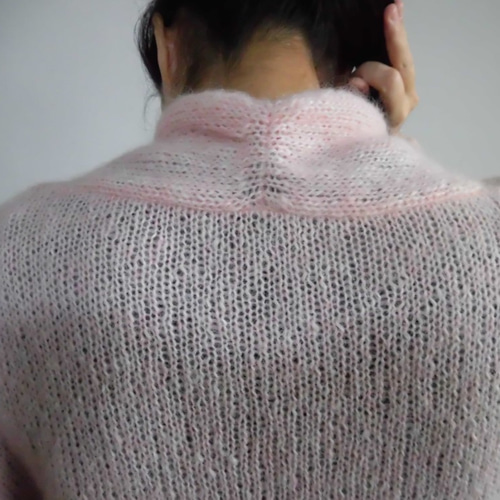 あみページ 2輪 アグラス Rスライダー ケースカバーSET C P049-1750 ホワイト JAN