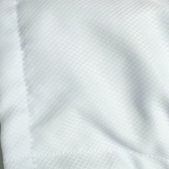 (サラリーマンマスク！）夏マスク【内側：接触冷感生地使用】薄いブルーメッシュ柄（Lサイズ）★ノーズワイヤー付き 2枚目の画像