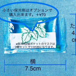 新作☆夏マスク☆冷やしマスク☆知多木綿✖️有松絞り（雪花絞り）の立体マスク☆保冷剤&フィルターポケットつき☆ 4枚目の画像