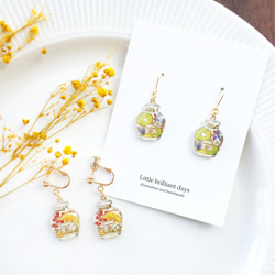 Herbarium earring｜花とフルーツのハーバリウムイヤリング・ピアス 1枚目の画像