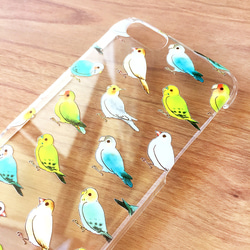 Bird clear case｜インコたちのクリアケース 2枚目の画像