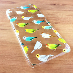 Bird clear case｜インコたちのクリアケース 3枚目の画像