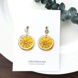 雑誌掲載｜Lemon earring｜レモンイヤリング〔夏のフル－ツ〕 3枚目の画像