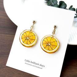 雑誌掲載｜Lemon earring｜レモンイヤリング〔夏のフル－ツ〕 6枚目の画像