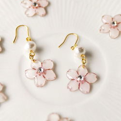 Sakura drop pierce｜桜とコットンパールピアス 1枚目の画像