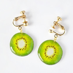 Kiwi earring キウイ 夏 フルーツ イヤリング ピアス 1枚目の画像